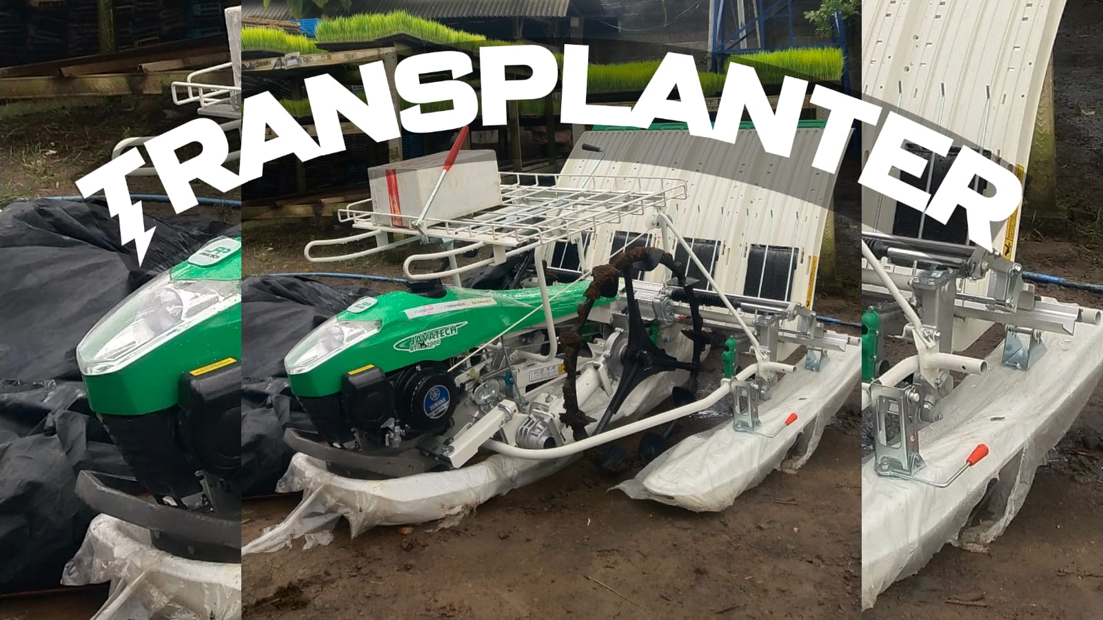 Transplanter